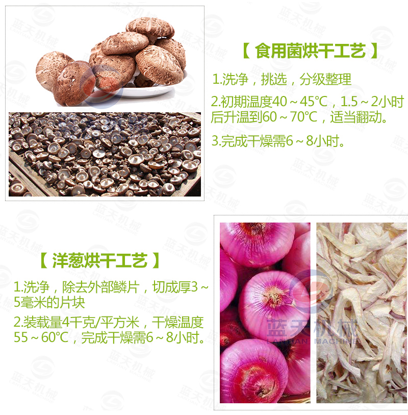 大蒜片網(wǎng)帶烘干機(jī)常見蔬菜烘干工藝